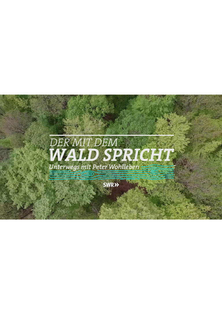 SWR-Sendung Der mit dem Wald spricht, Unterwegs mit Peter Wohlleben